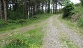 Trail On foot The Municipal District of Dundalk - Loop Walk - Photo 1