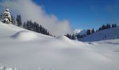 Percorso Sci alpinismo Beaufort - col de roche plane - Photo 4