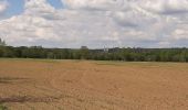 Tour Elektrofahrrad Wellin - Froidlieu-Ave-Lessive-Villers-Lavaux-Froidlieu - Photo 5