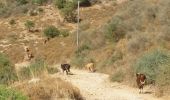 Trail On foot Galil Elyon Regional Council - IL-2136 - Photo 1