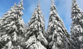 Tour Wandern Saint-Hubert - Saint Hubert sous la neige  - Photo 1