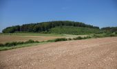 Tour Zu Fuß Velburg - Jurasteig König-Otto-Schlaufe - Photo 9