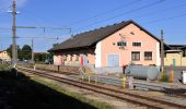 Tour Zu Fuß Gemeinde Mistelbach - MistelbachAktivRing - Photo 7