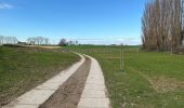 Tour Wandern Asse - Zellik 8,5 km - Photo 9