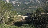 Randonnée Marche Toulon - Tour du Mont Faron - Photo 6