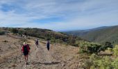 Excursión Senderismo Minerve - Les dolmens de Vieulac - Photo 10