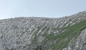 Tour Wandern Abtei - J7 Refuge Puez Parking Saint Sylvestre Val Gardena - Photo 6