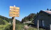 Tour Wandern Chézery-Forens - Cret de la Goutte 13.5 km D+650 m 20210811 - Photo 4