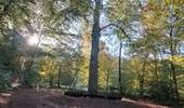 Trail Walking Arbois - Arbois Pupillin Arbois - Photo 11