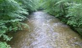 Tour Zu Fuß Siegsdorf - SalzAlpenWeg - Traunstein - Zwing - Photo 7