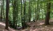 Tour Wandern Echternach - Echternach-Beaufort - Photo 9