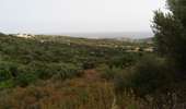 Trail Walking Monticello - boucle d'arbo - Photo 20