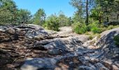 Tocht Stappen Fontainebleau - Fontainebleau sentier Denecourt 7 ouest prolongé  - Photo 7