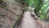 Trail Walking Vernet-les-Bains - Vernet 2 - Photo 10