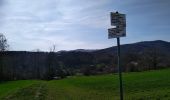 Trail Walking Sentheim - Sentheim Rammersmatt Bourbach/Bas - Photo 4