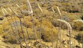 Tocht Stappen Κοινότητα Σταβιῶν - De Thalori à la plage - Photo 5