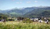 Tocht Stappen Saint-Sauves-d'Auvergne - St_Sauves_Chateauneuf - Photo 1