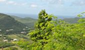 Trail Walking Sainte-Anne - parcours sportif de Petite Versailles vers le Cap Chevalier   - Photo 3