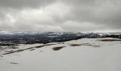 Trail Snowshoes Saint-Agnan-en-Vercors - raquettes Col du rousset - Photo 1