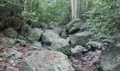 Trail Walking Les Anses-d'Arlet - Gallochat - Grande Anse via Reduit - Photo 5
