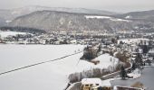 Tour Zu Fuß Gemeinde Enzenreith - Sonnleitenweg (Enzenreith) - Photo 5