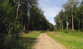 Randonnée Marche Dampleux - en forêt de Retz_82_sur les Routes de la Bruyère aux Loups et de la Chrétiennette - Photo 4