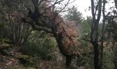 Trail Walking Soubès - Soubes - Mas Rouquet - Photo 4