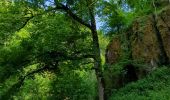 Trail Walking Oberhaslach - Le Nideck, entre ruines et cascades - Photo 2
