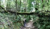 Trail Walking Lacommande - LACOMMANDE/HAUT D'ESTIALECQ balisage GR 653D - Photo 6