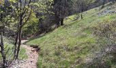 Trail Walking Aurel - Le Pas de la Frache - Photo 9