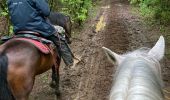 Trail Horseback riding Favières - Favieres mai 2024 yoigo kaline  - Photo 9