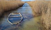 Tocht Stappen Vendres - Vendres -Port de Chichoulet (34) - Photo 9