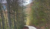Trail On foot Waldstetten - Glaubensweg 14 Christentalweg - Photo 7