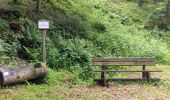 Trail Walking Sainte-Marie-aux-Mines - 2020-06-20 Marche Tete du Violu Col de Ste Marie - Photo 10