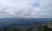 Tocht Stappen Mialet - Col d'Uglas par Mialet et les Aigladines - Photo 10