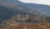 Tour Wandern Sankt Pilt - St Hippolyte - Bergheim - château Reichenberg - Photo 6