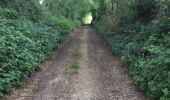 Tocht Stappen Pont-à-Celles - BE-Pont-à-Celles - Autour du ruisseau de Rosseignies - Photo 6