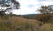 Tocht Stappen Chaudfontaine - via bois des dames et bois de la rochette  - Photo 7