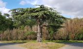 Tour Wandern Souzy-la-Briche - 2020-06-28 Souzy - Madagascar - Saint Sulpice 17 km - Photo 1