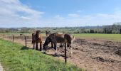 Tocht Stappen Engis - La tour malherbe  - Photo 2