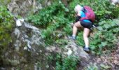 Trail Walking Saint-Laurent-du-Pont - Rocher de Pertuis  - Photo 9