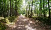 Trail Walking Saint-Martin-des-Bois - Saint-Martin-des-Bois - Entre plateau et vallée - 18.1km 225m 4h10 (30mn) - 2019 07 21 - Photo 13