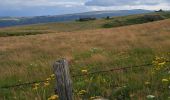 Trail Walking Anglards-de-Salers - Chemin des estives - Photo 9