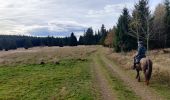 Trail Horseback riding Gresswiller - 2022-11-06 Picnic CVA Neuntelstein - Photo 1