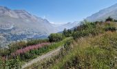 Tour Wandern Val-Cenis - Savoie_Val-Cenis_Lac de l'Arcelle - Photo 9