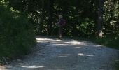 Randonnée Marche Lans-en-Vercors - Charande depuis les Aigaux - Photo 2