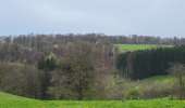Randonnée Marche Bouillon - Les Hayons 110426 - Photo 3