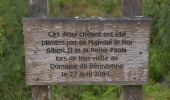 Tour Wandern Spa - 20200725 - Berinzenne Balade guidée  - Photo 4