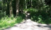 Trail Walking Magny-les-Hameaux - bois des roches - Photo 13