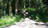 Randonnée Marche Magny-les-Hameaux - bois des roches - Photo 13